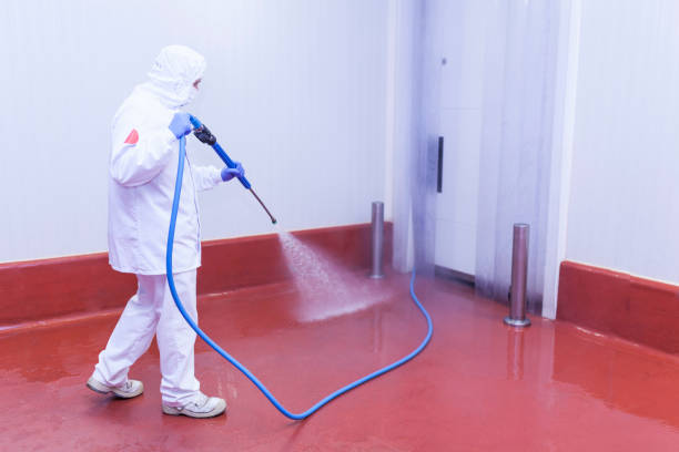 Best House Exterior Washing  in Arma, KS